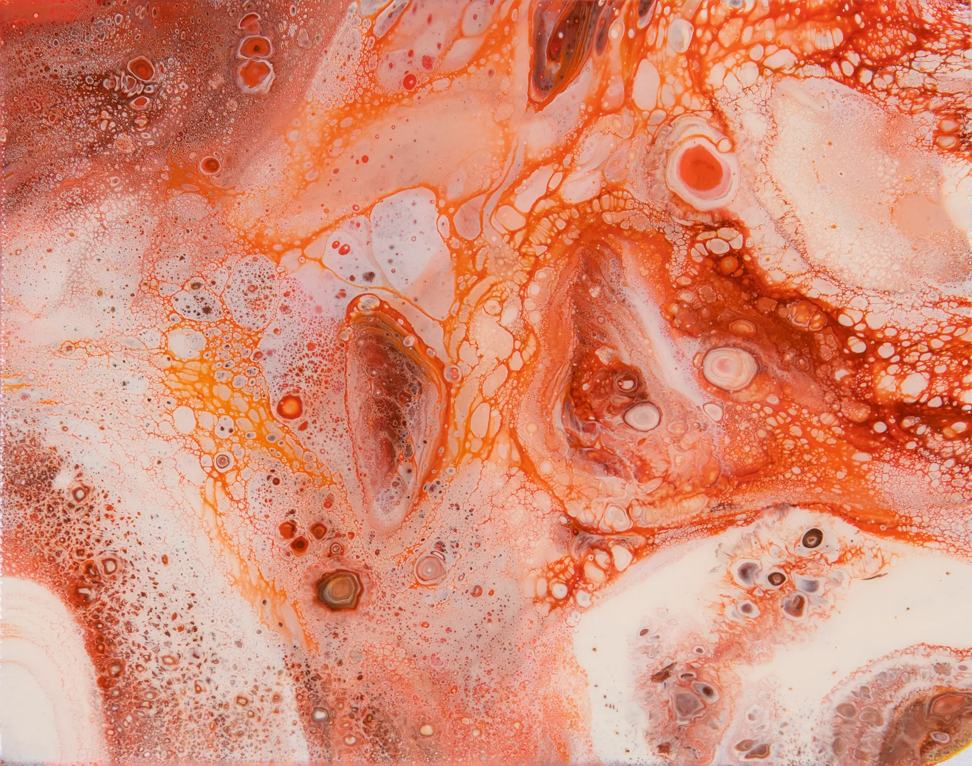 A fluid abstract painting in coral, white, blush, and black
