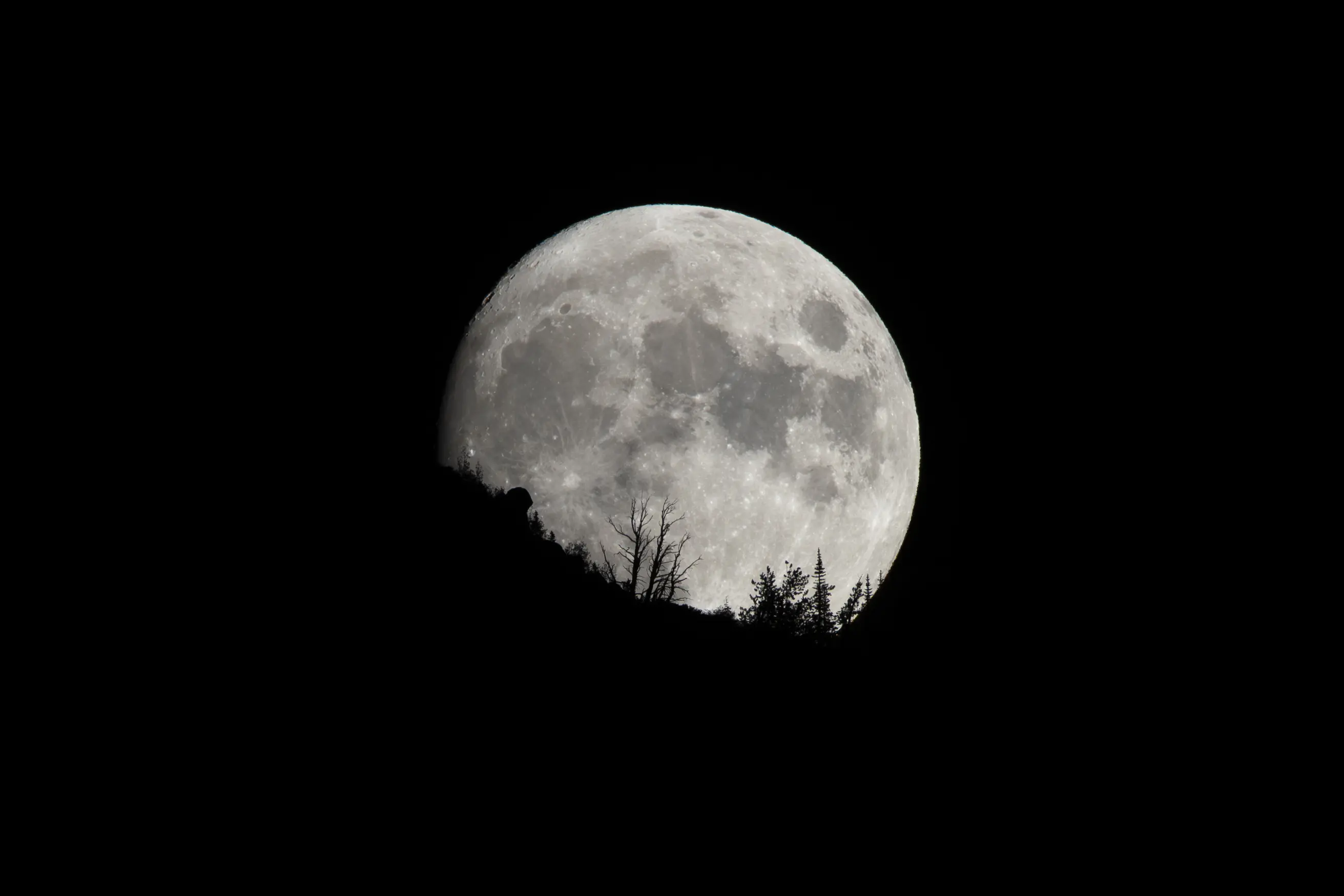 The moon rising behind a dark ridge and silhouetted trees