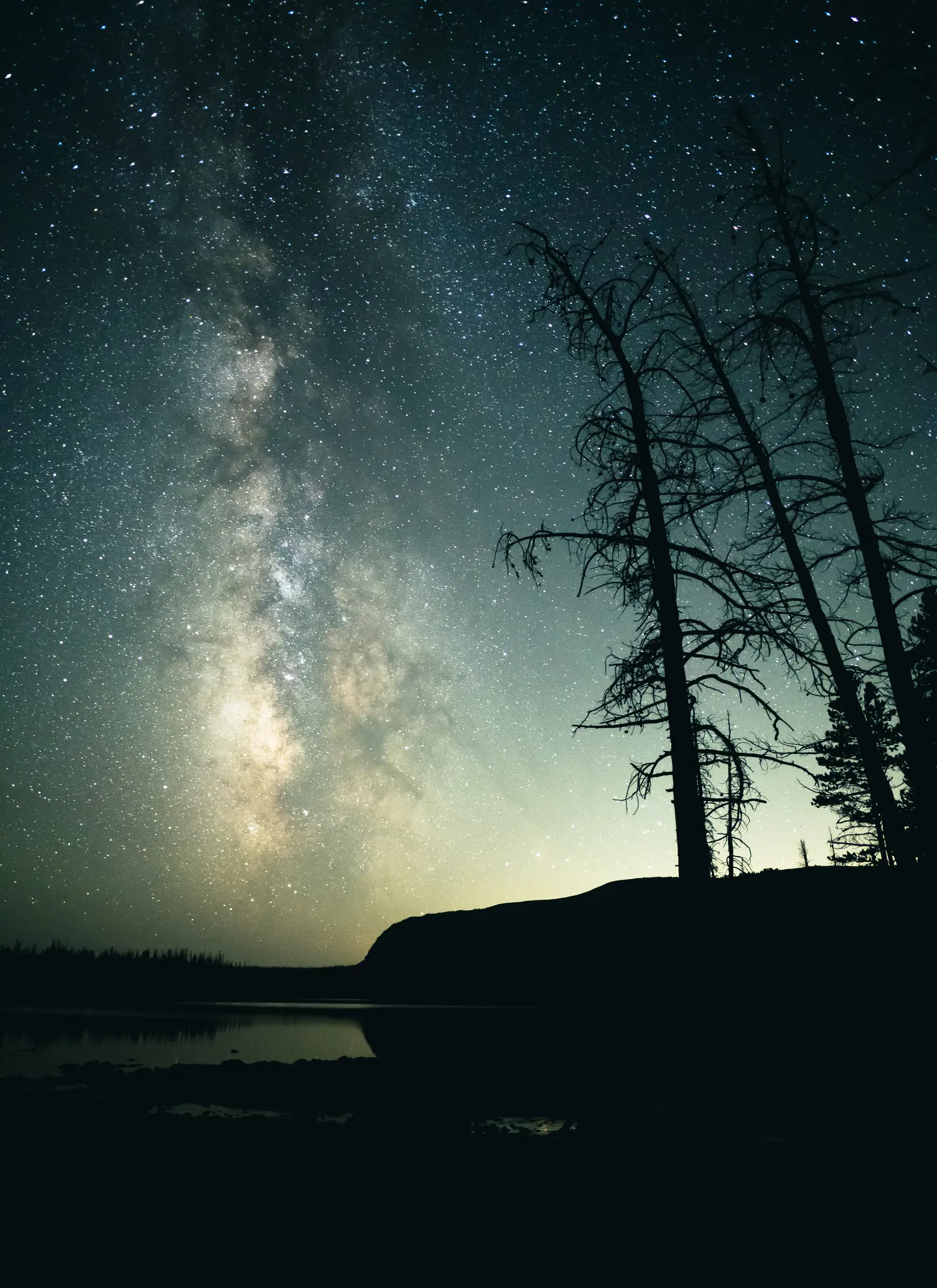 The Milky Way rising behind silhouetted trees at Washington Lake